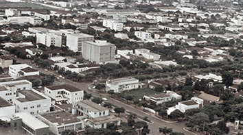 Primeiros passos no Paraná